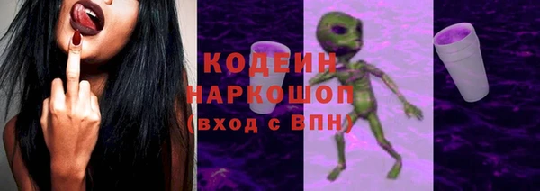 прущие грибы Волоколамск