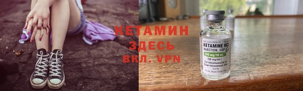 прущие грибы Волоколамск