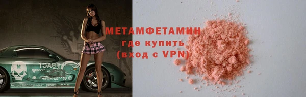 прущие грибы Волоколамск