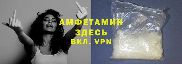 прущие грибы Волоколамск