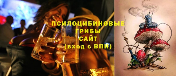 прущие грибы Володарск