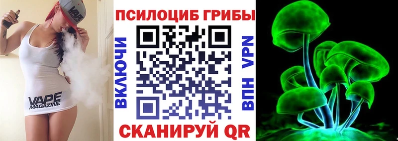 Псилоцибиновые грибы Psilocybe  Купить закладки  Кузнецк 