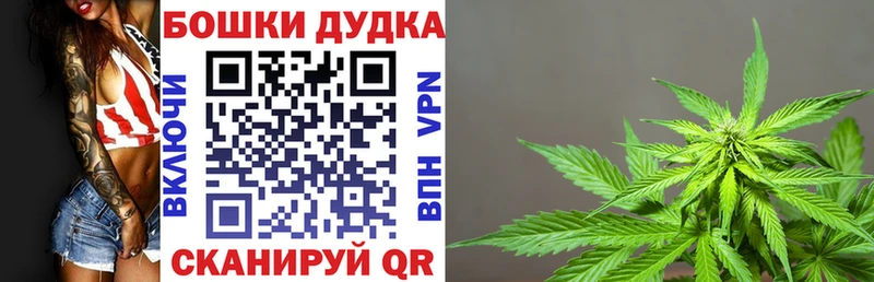 Бошки Шишки THC 21% Кузнецк